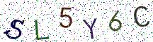 SL5Y6C