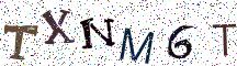 TXNM6T