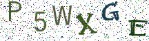 P5WXGE