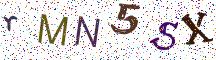 rMN5SX
