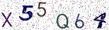 X55Q64