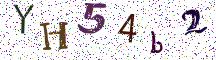 YH54b2
