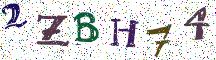 2ZBH74
