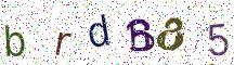brdB85