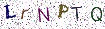 LrNPTQ
