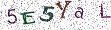 5E5YaL