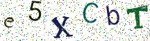 e5XCbT