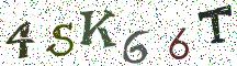 4SK66T