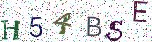 H54BSE