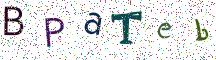 BPaTeb