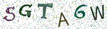 SGTA6W