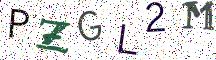 PZGL2M