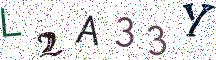 L2A33Y