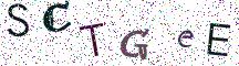 SCTGeE