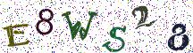 E8WS28