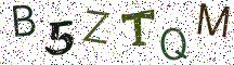 B5ZTQM