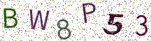 BW8P53