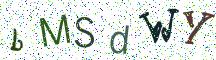 bMSdWY