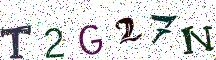 T2G27N