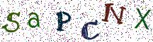 SaPCNX