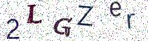 2LGZer