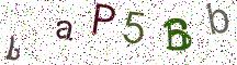 baP5Bb