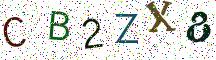 CB2ZX8