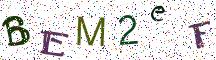 BEM2eF