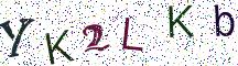 YK2LKb