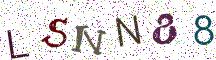 LSNN88