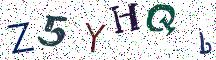 Z5YHQb