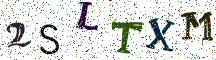 2SLTXM