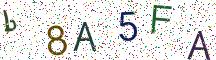 b8A5FA