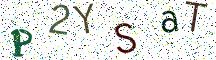 P2YSaT