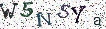 W5NSYa