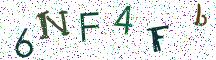 6NF4Fb