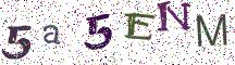 5a5ENM