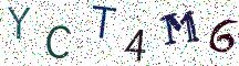 YCT4M6