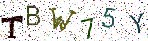 TBW75Y