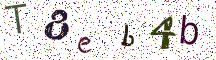 T8eb4b