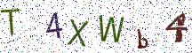 T4XWb4