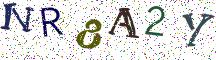 NR8A2Y