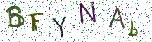 BFYNAb
