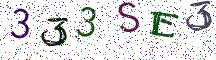 333SE3