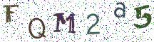 FQM2a5