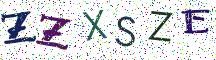 ZZXSZE