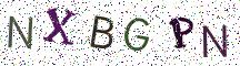 NXBGPN