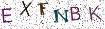 EXFNBK