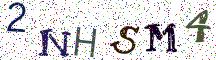 2NHSM4