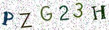PZG23H